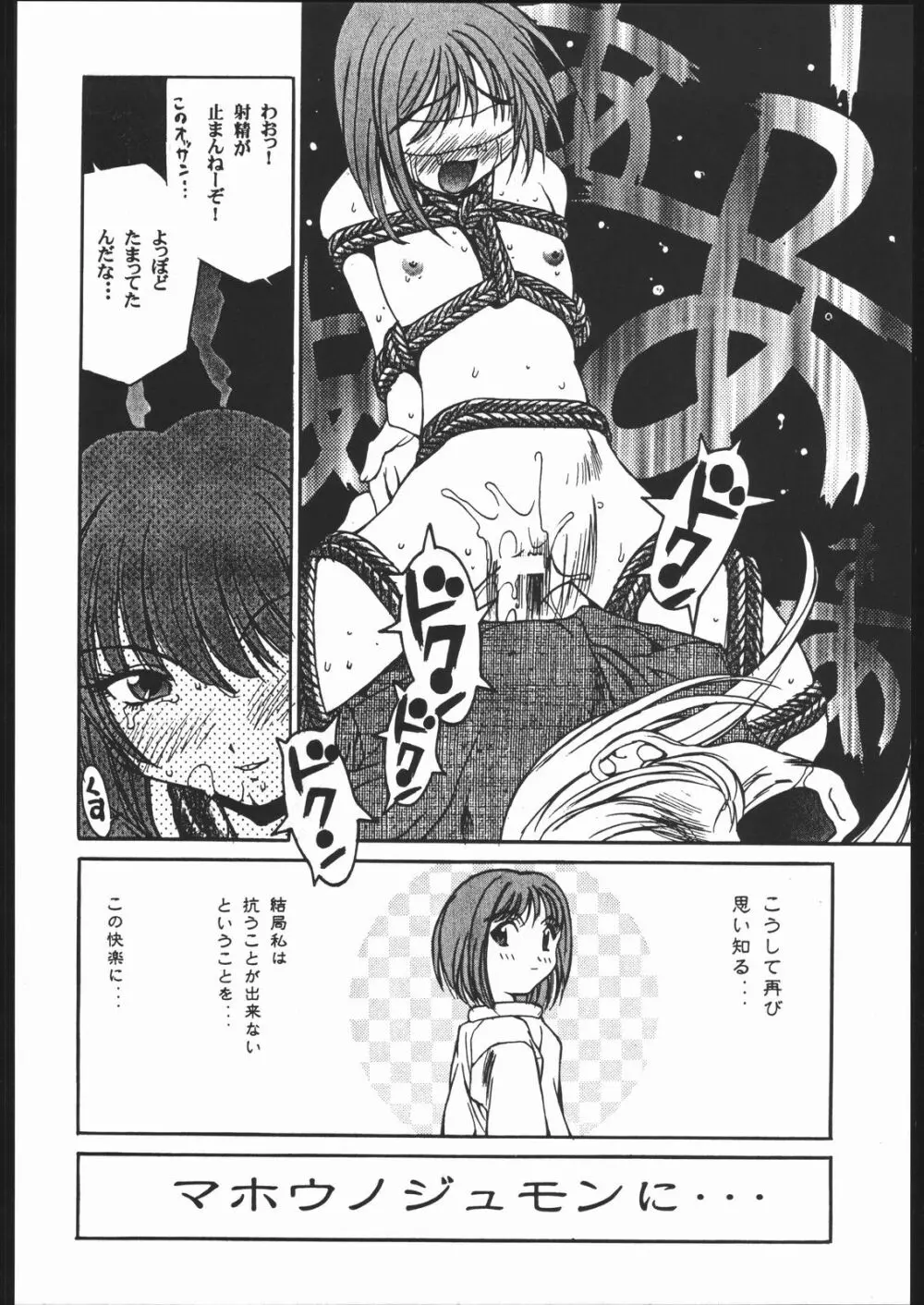 SEXCEED ver.8.0 Page.15