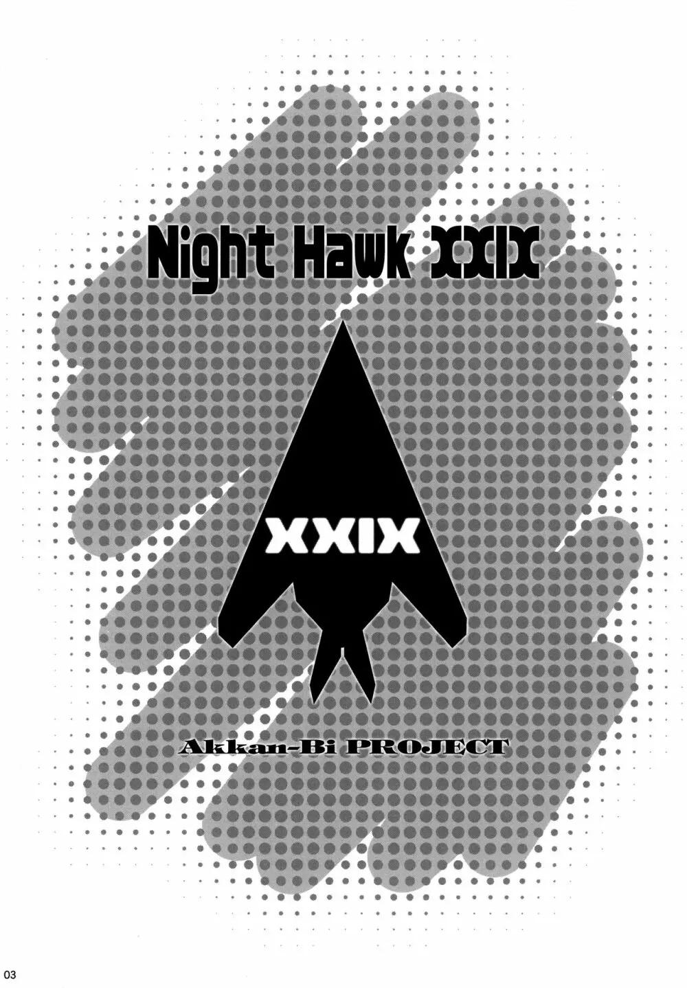 NightHawk XXIX Page.2