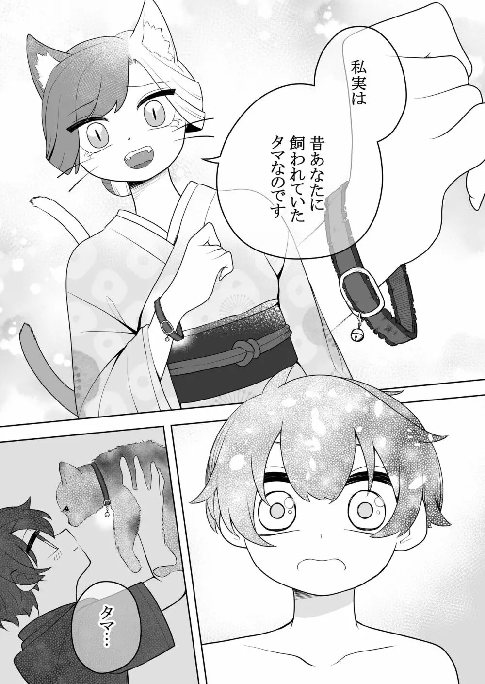 猫岳の怪 Page.16