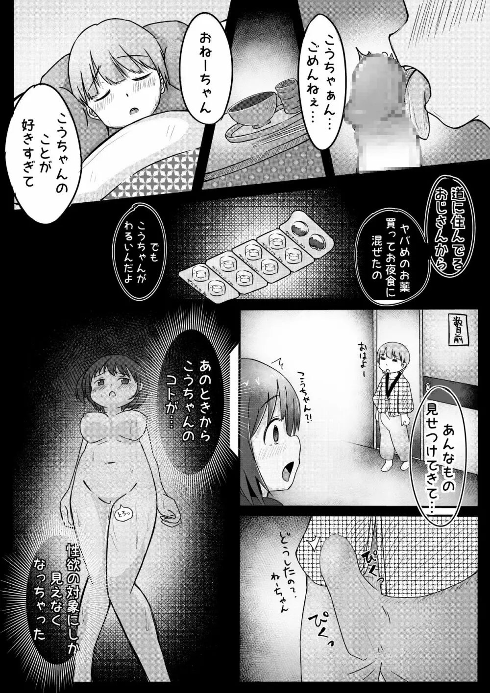 弟ちゃんを薬で眠らせて犯してみた。 Page.5