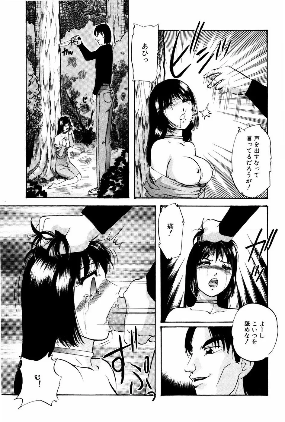 バーチャルコレクション Page.115