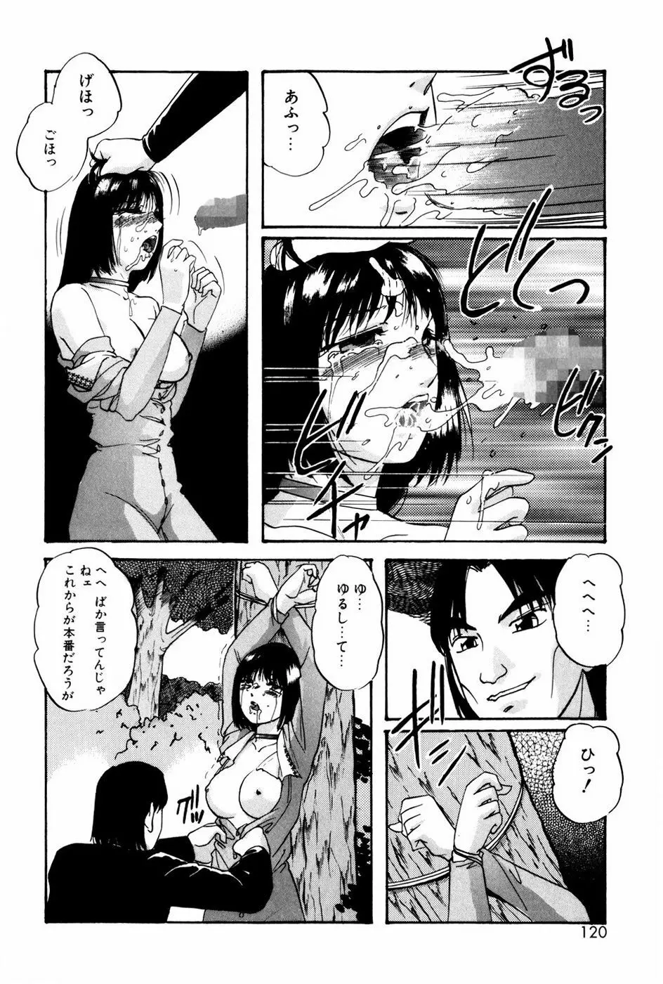 バーチャルコレクション Page.118