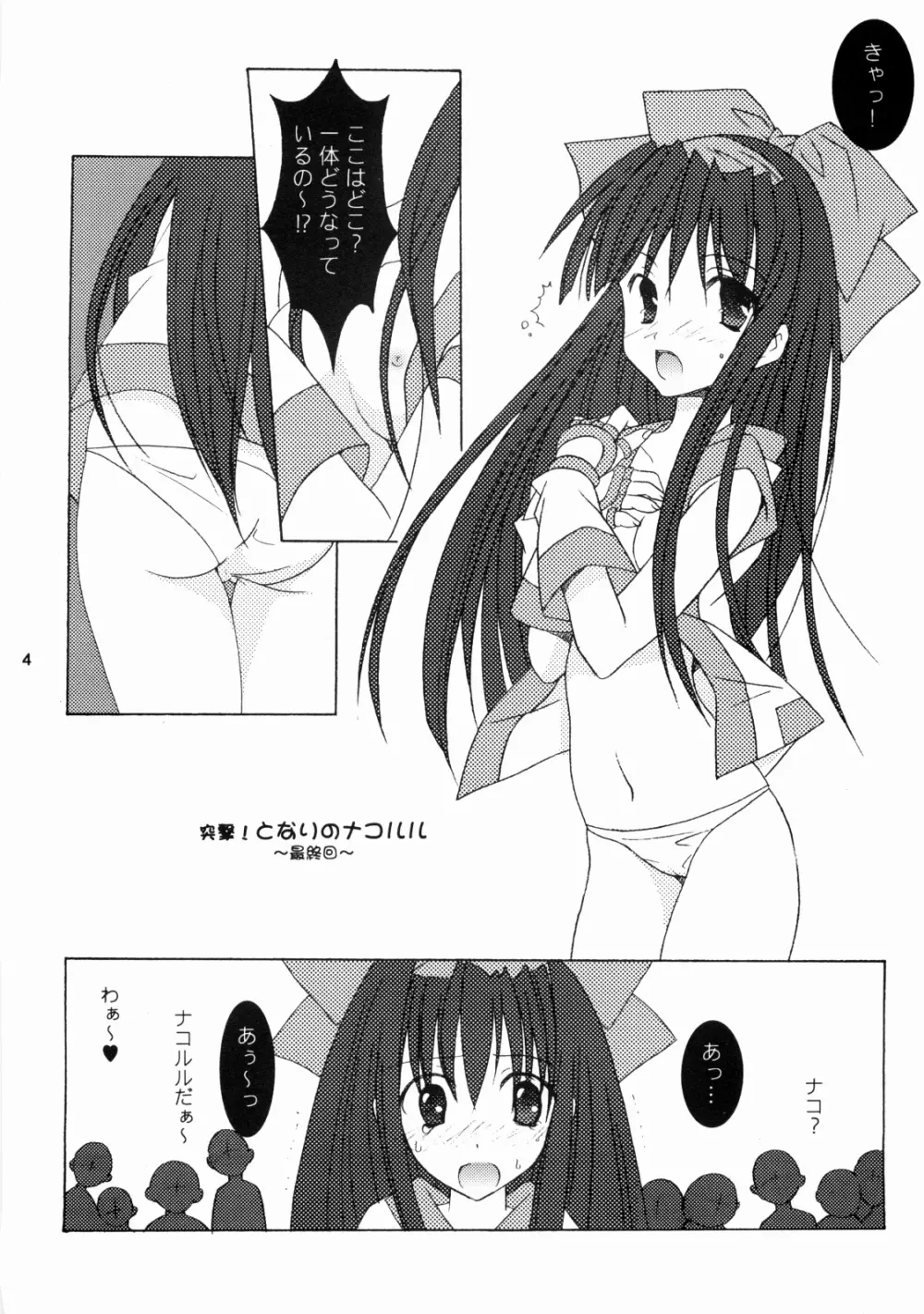 ナコリムスピリッツ3 やっぱりナコが好き Page.3