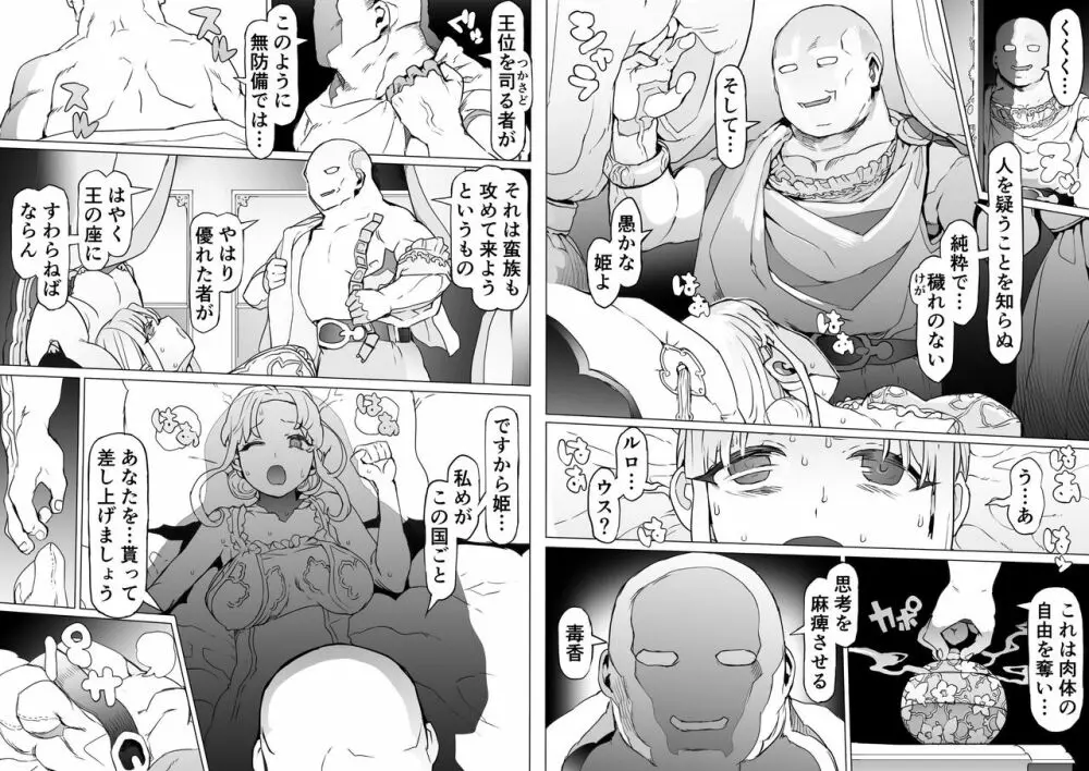 王となる者~王姫調教録~ Page.11