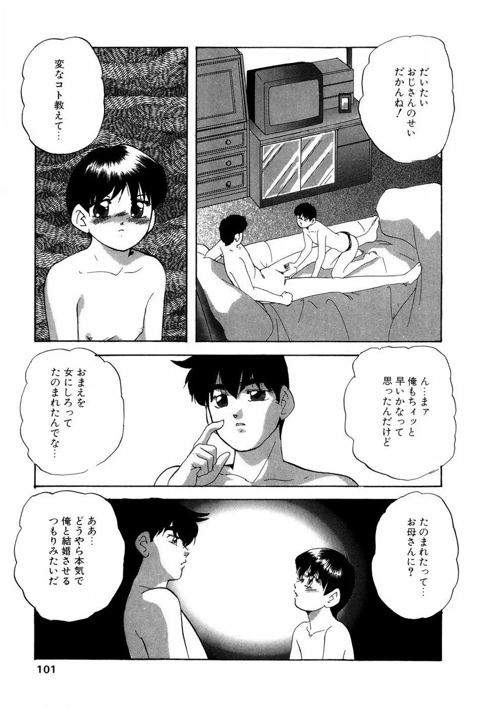 グラフィカルインターフェイス Page.104