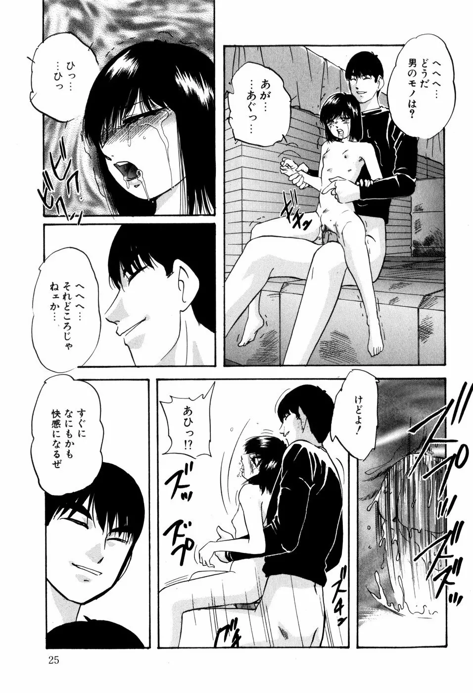 愛欲の試薬 Page.27