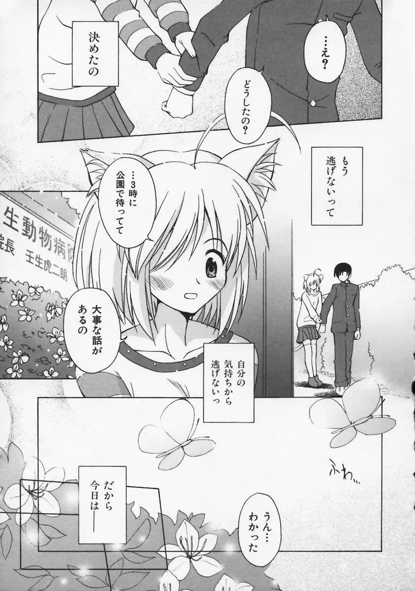 またネコっ！ Page.138