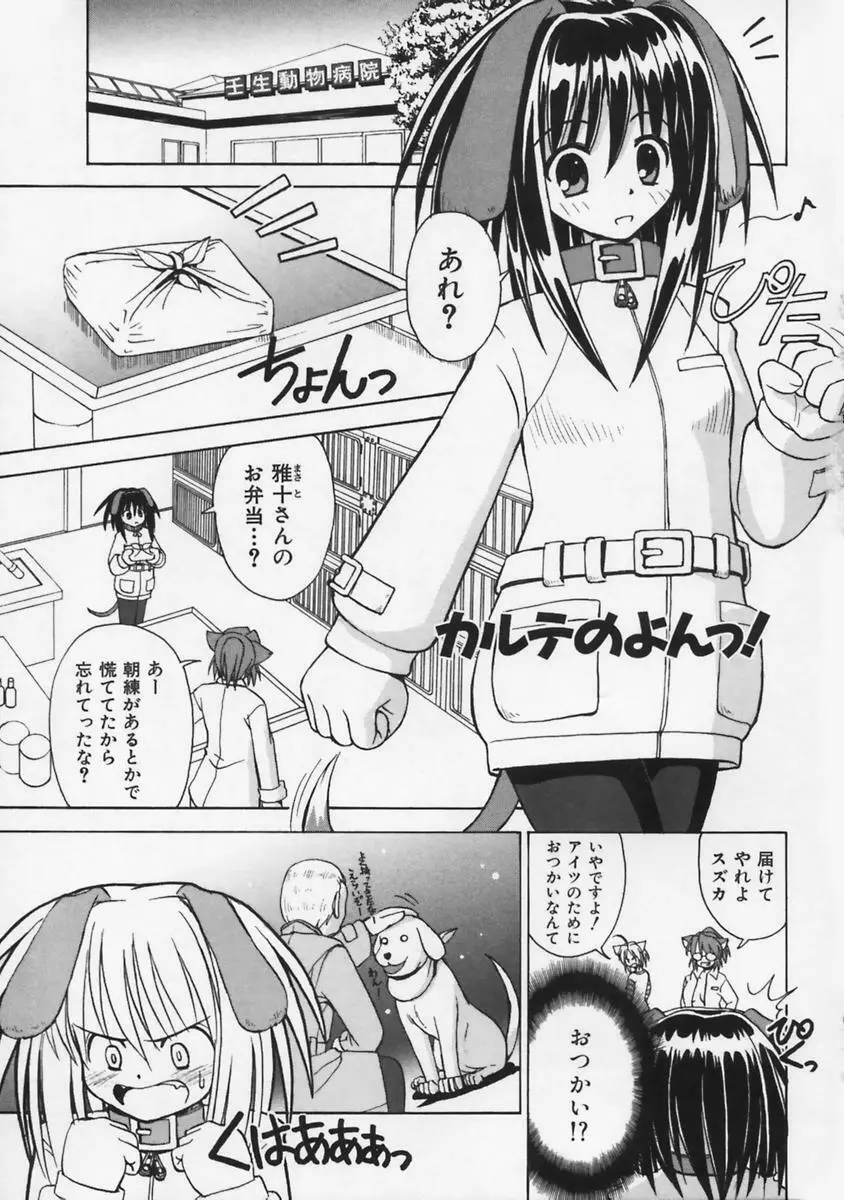 またネコっ！ Page.66