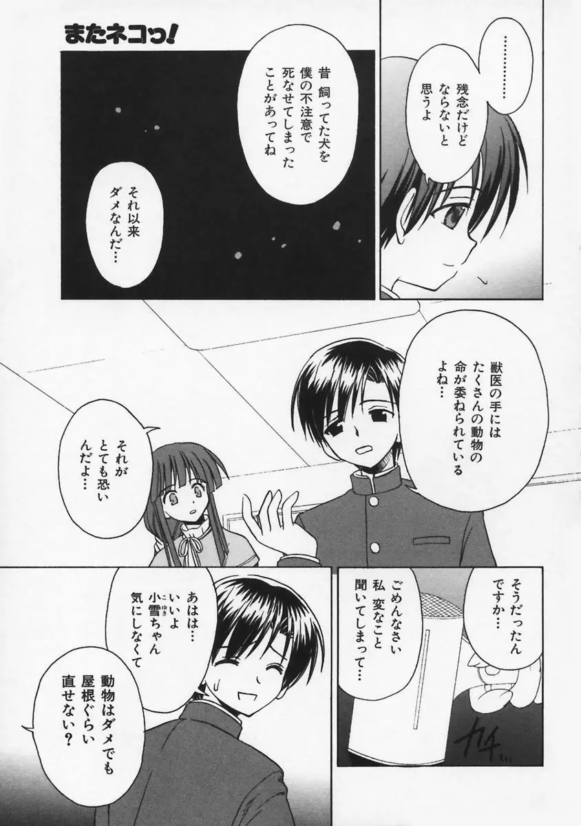 またネコっ！ Page.86