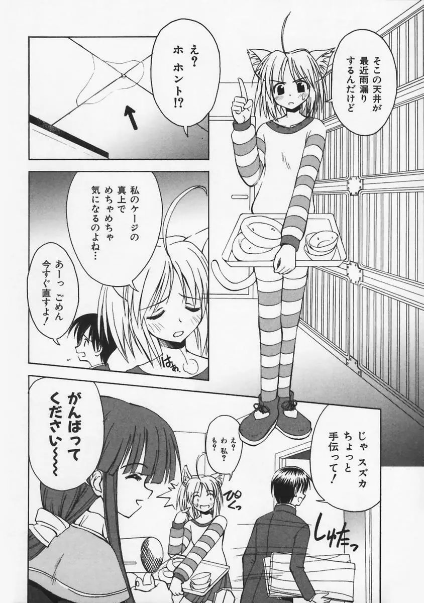 またネコっ！ Page.87