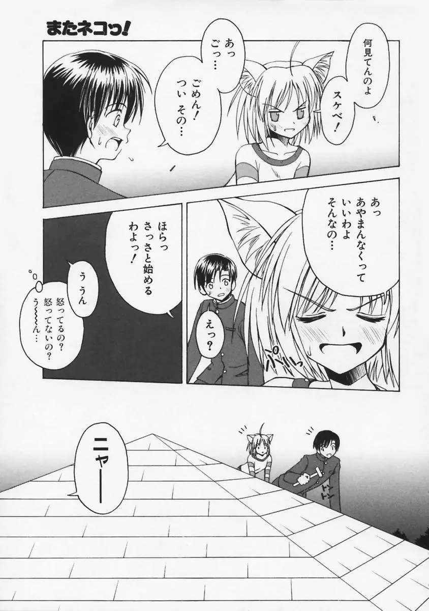 またネコっ！ Page.90