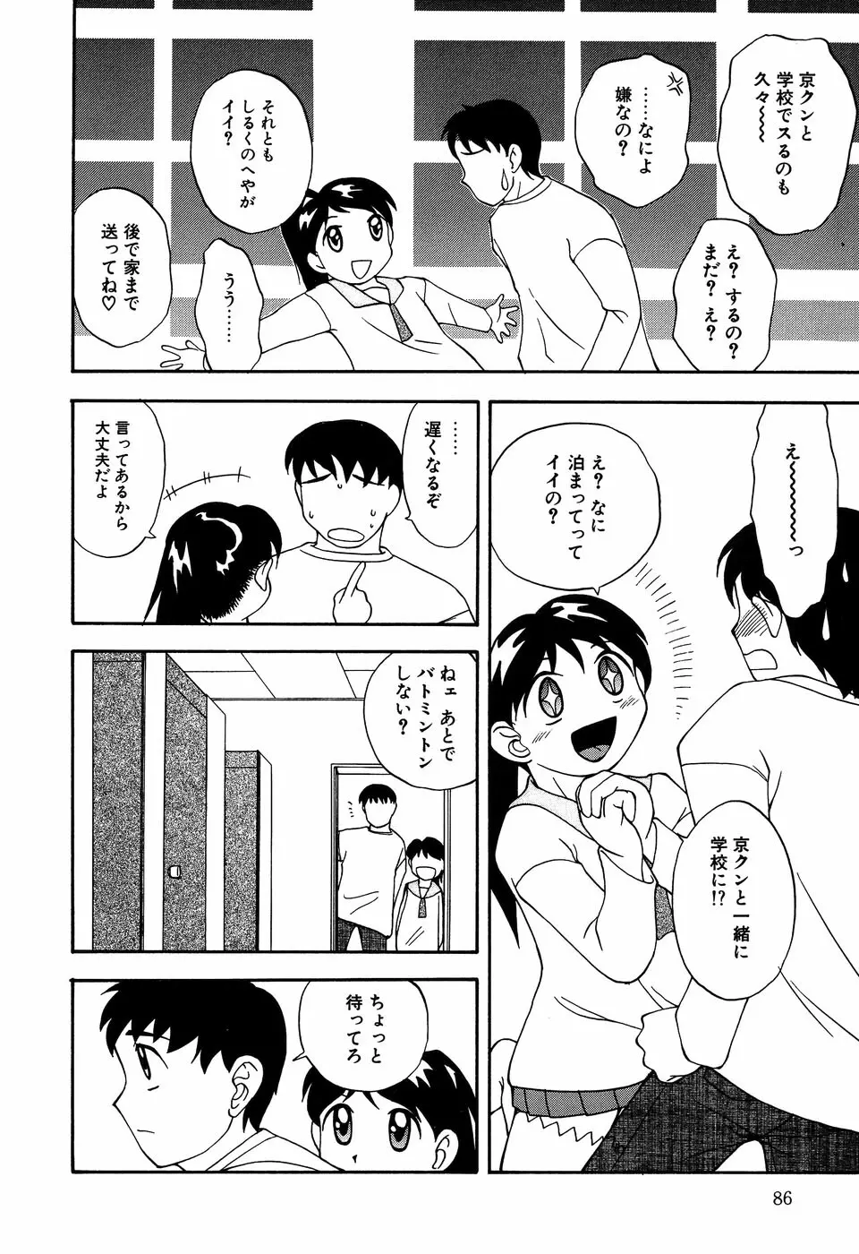 リトルピアス Vol.11 Page.88