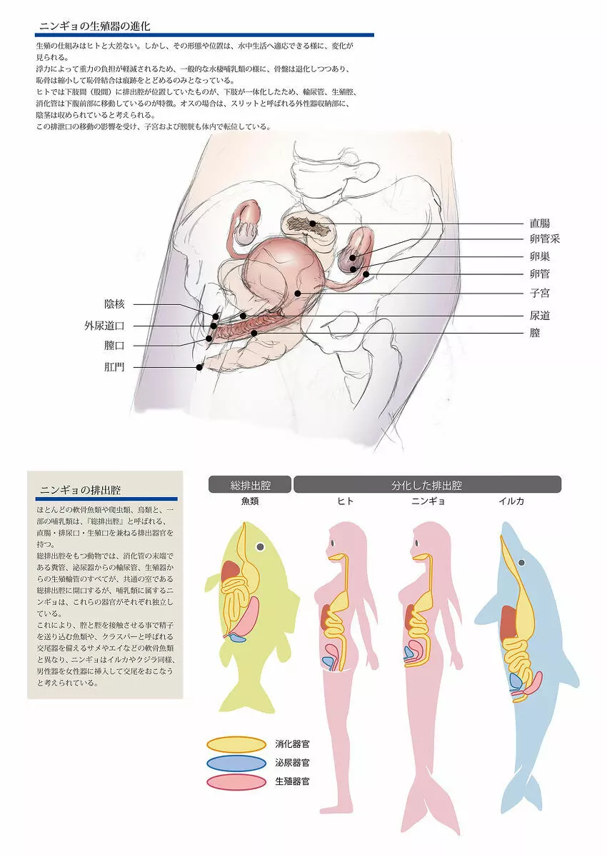 ビッチマーメイド 01-12 Page.30