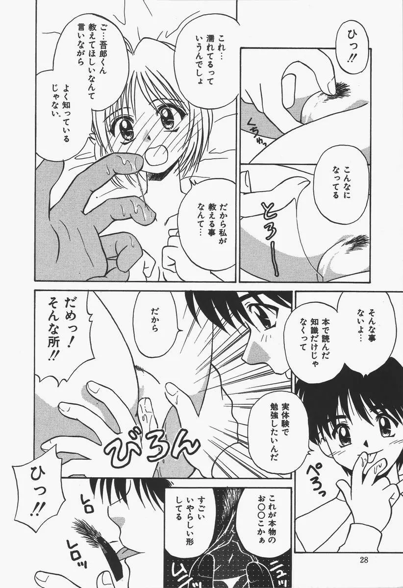 予感はときめきクリスタル Page.28