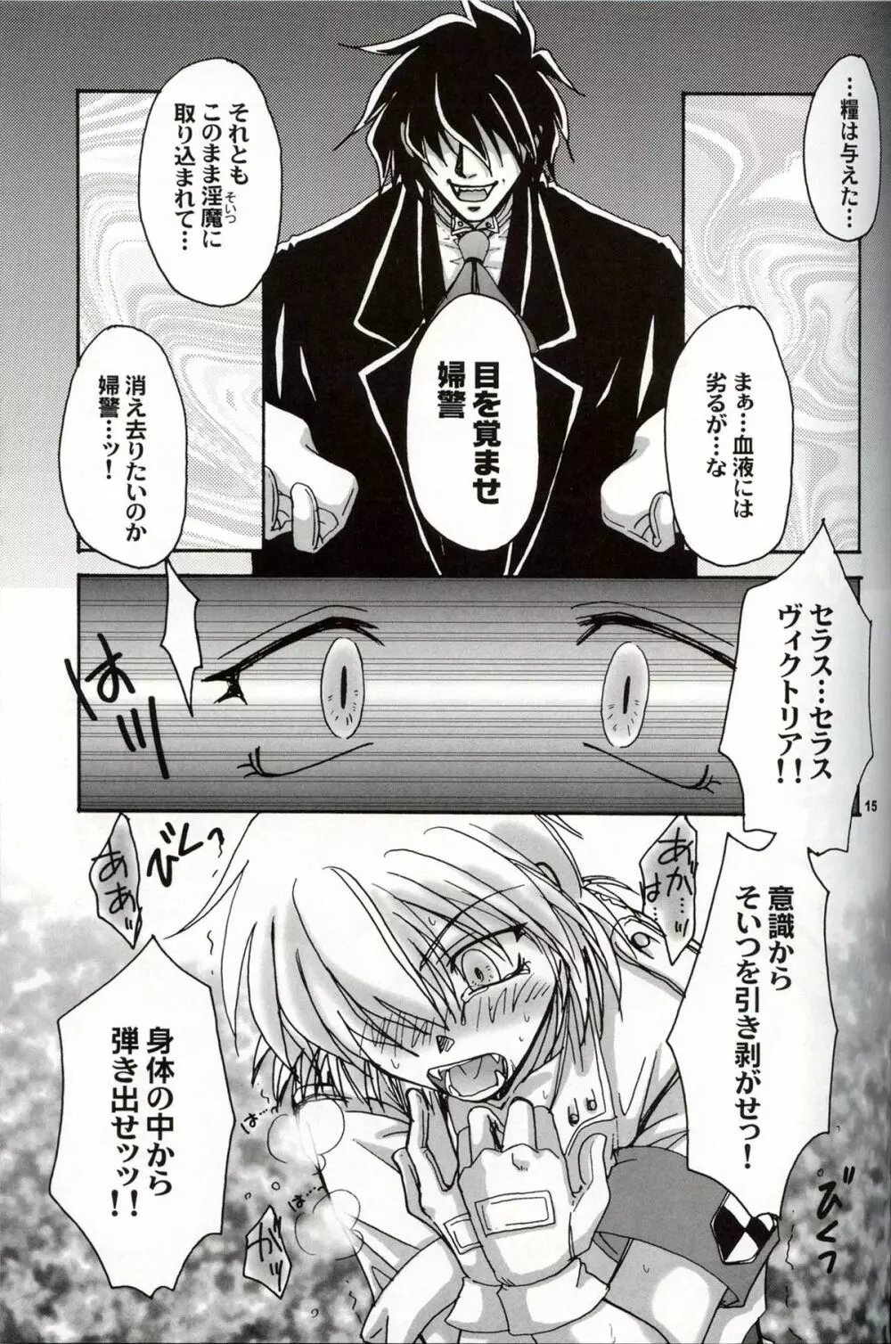 (C63) [ねこや楽器店+Brough-Superior (辻崎そう)] DAYDREAM, NIGHTMARE -NIGHT-SIDE- (ヘルシング) Page.14