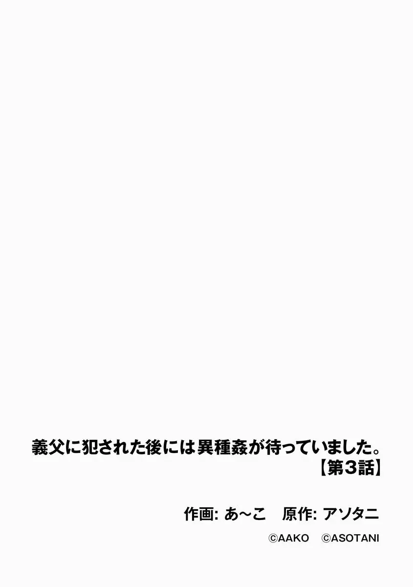 サイベリアplus Vol.8 Page.260