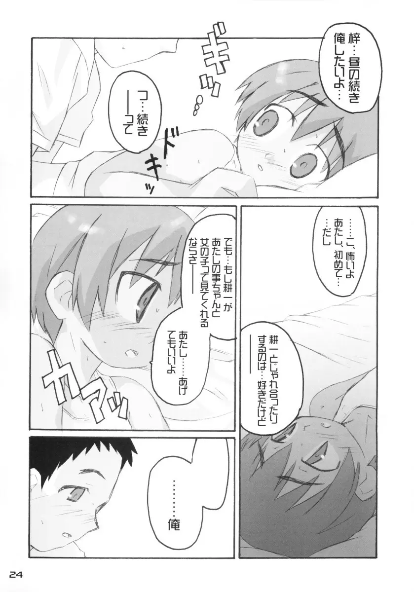 きずていぷ Page.24