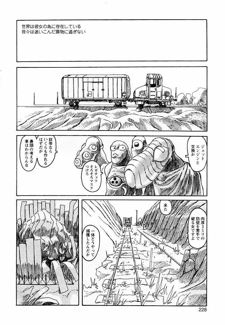 プロキシマ 1.3 Page.228