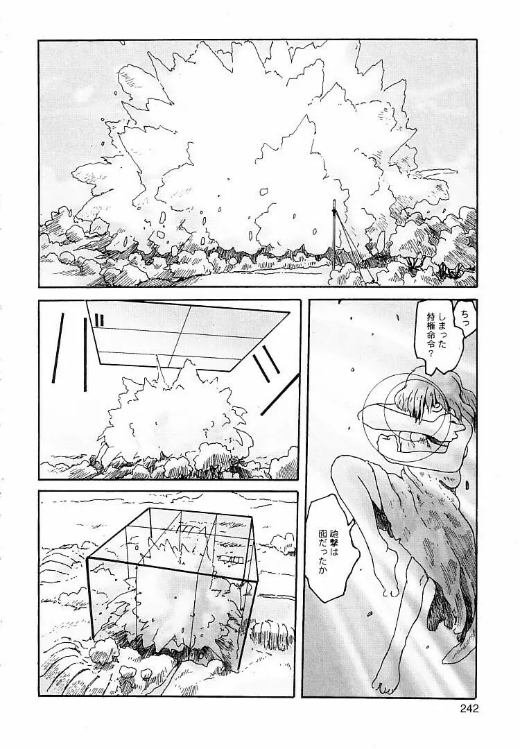 プロキシマ 1.3 Page.242