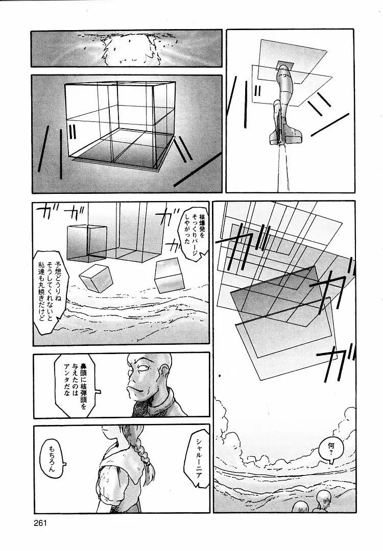 プロキシマ 1.3 Page.261