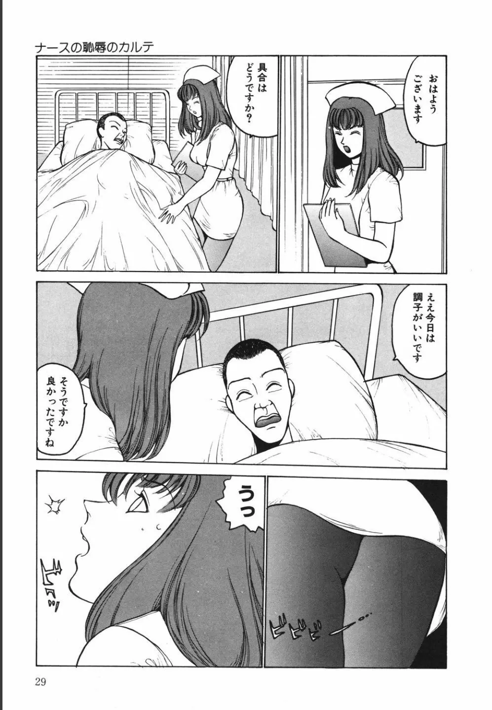 綬縛師夜曲2 Page.29