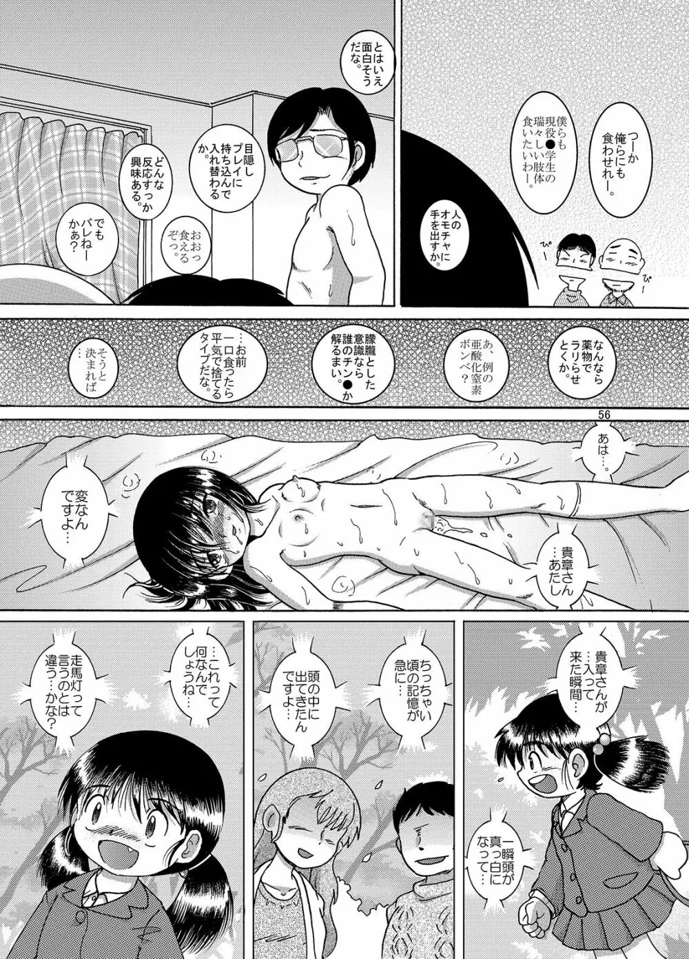 磁器甘柑 Page.56