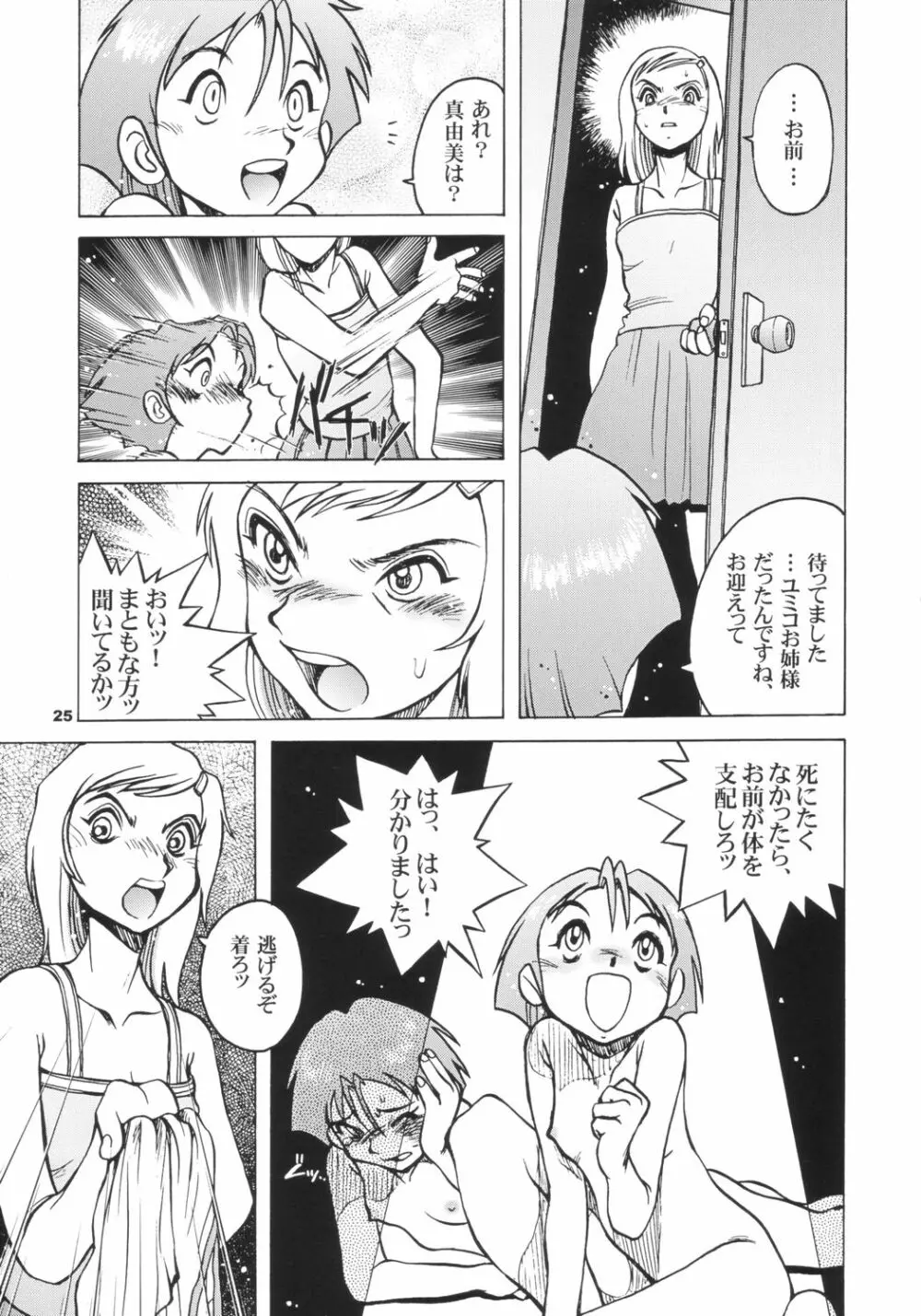 Pocket Dll Page.24