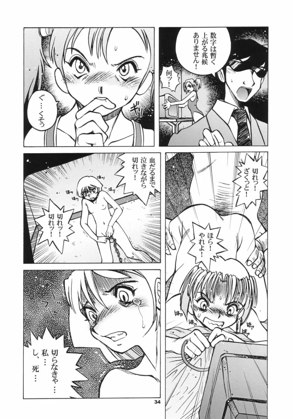 Pocket Dll Page.33