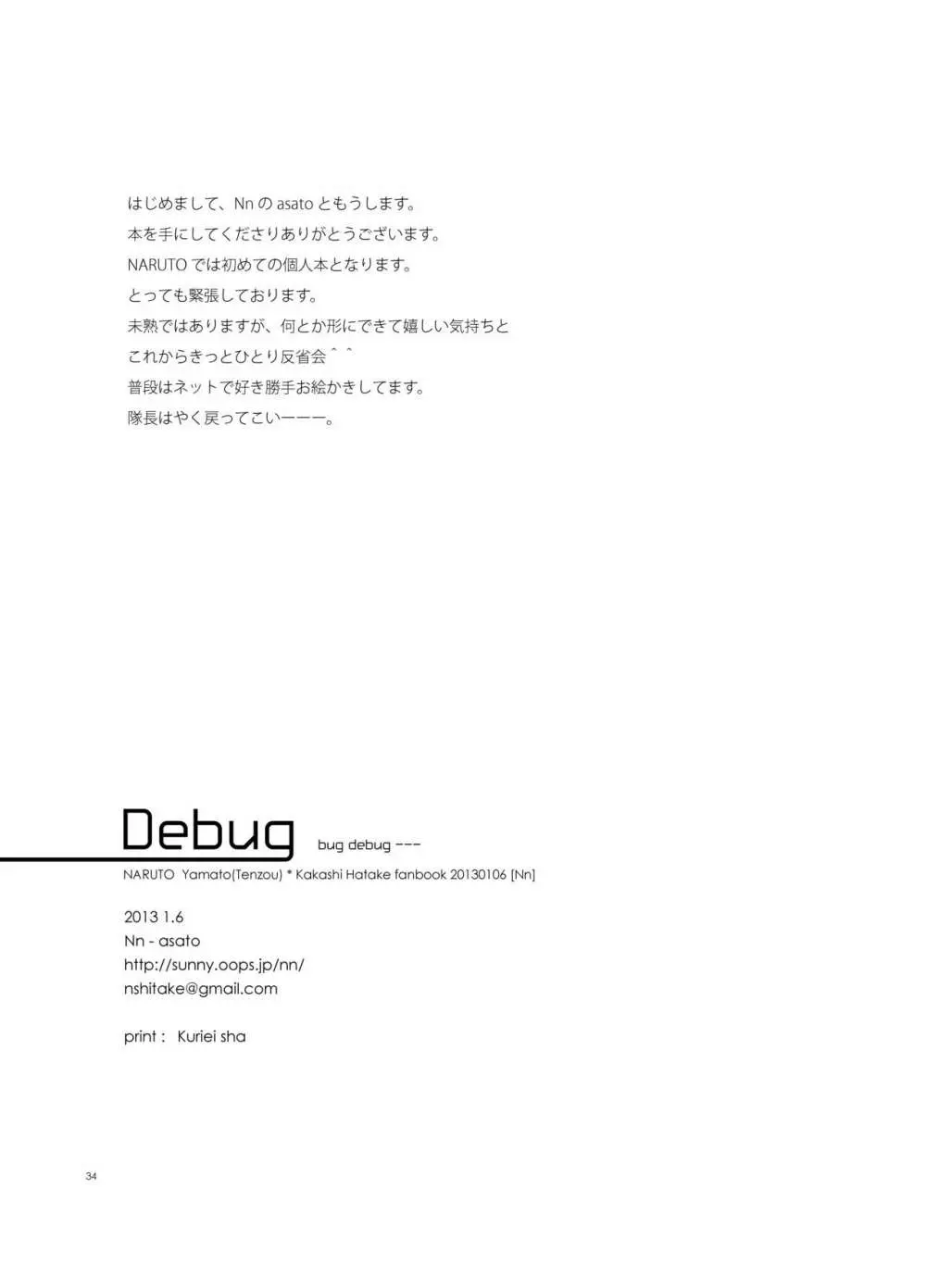 Debug Page.33