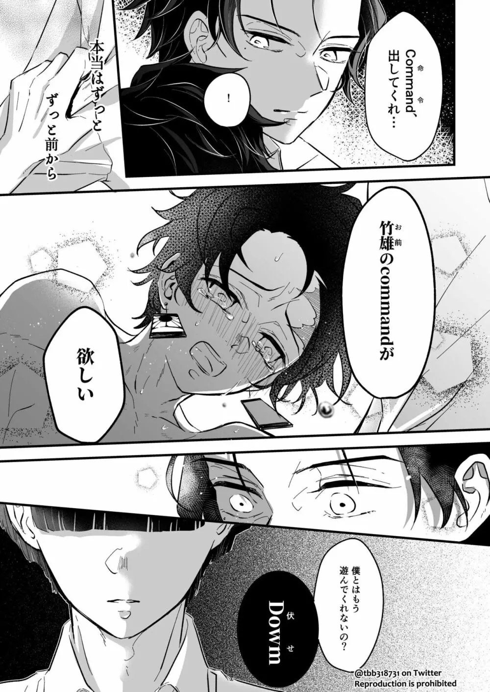 竹炭玉簾④ Page.11