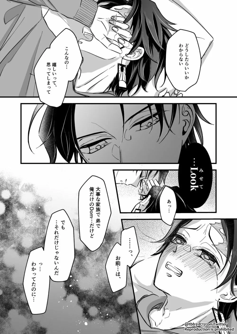 竹炭玉簾④ Page.24