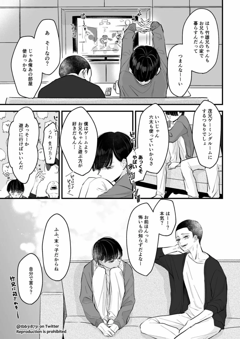 竹炭玉簾④ Page.45