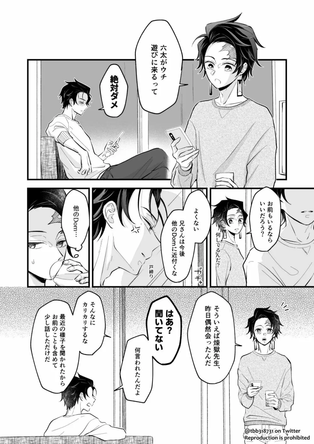 竹炭玉簾④ Page.46