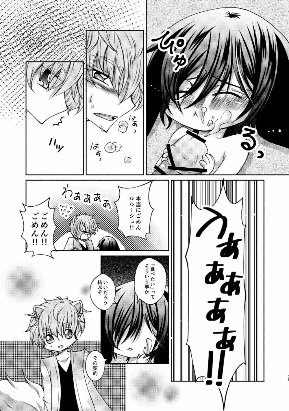 狼スザク×黒兎ルルシュ詰め Page.23