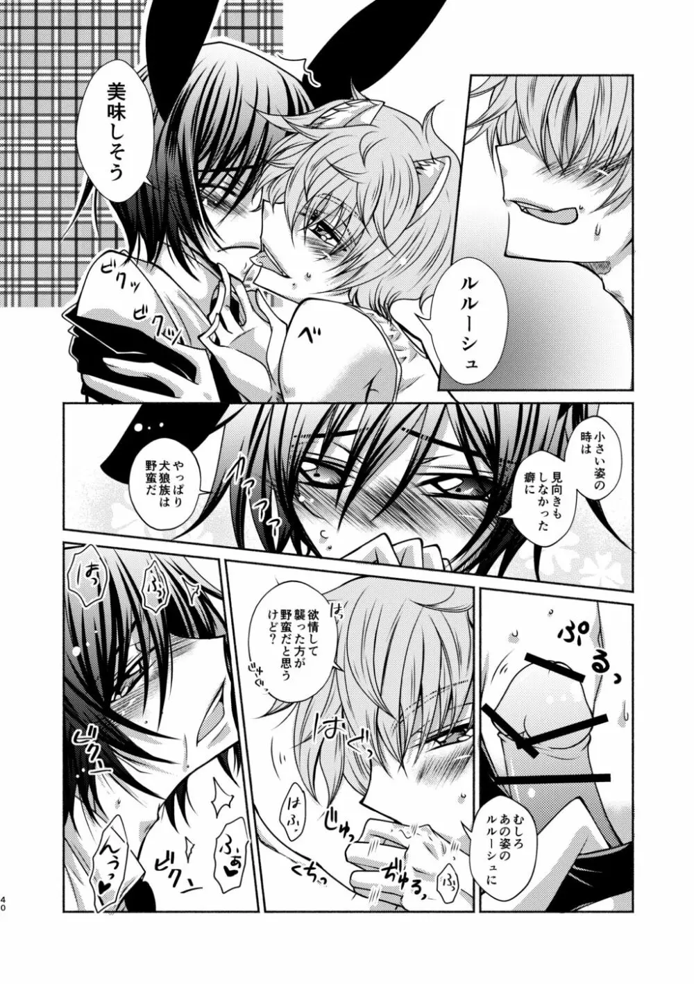 狼スザク×黒兎ルルシュ詰め Page.38