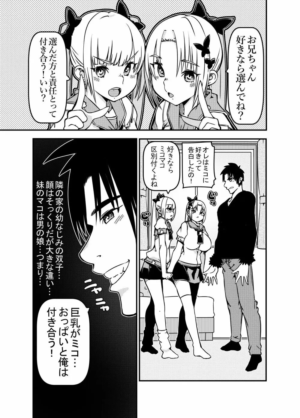 双子姉妹 少女x男の娘 Page.3