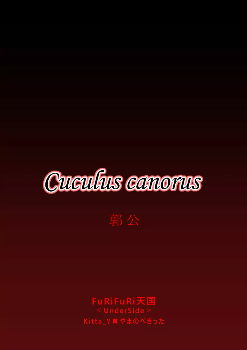 Cuculus canorus Page.33