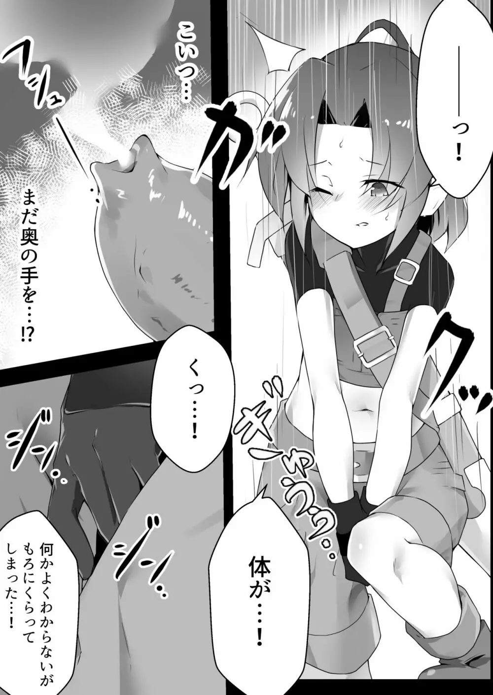 とある冒険者の災難 Page.11