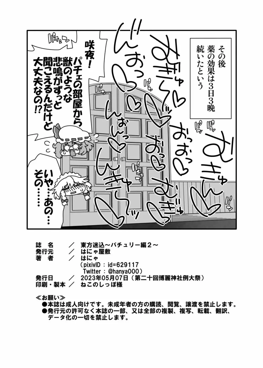 東方迷込 ～パチュリー編2～ Page.21