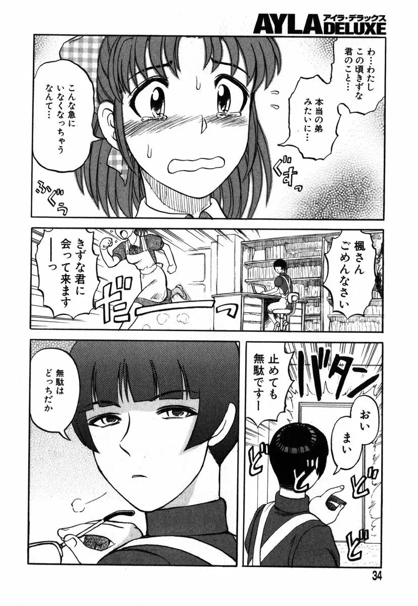 アイラデラックス Volume.18 Page.31