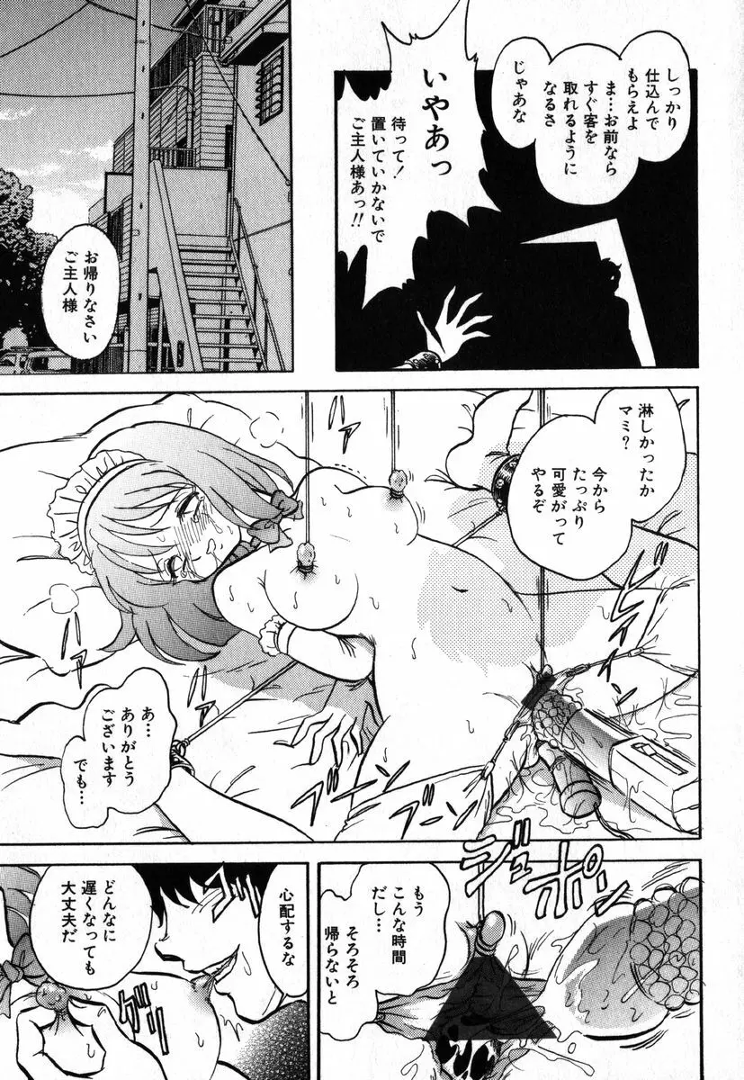 アイラデラックス Volume.18 Page.61