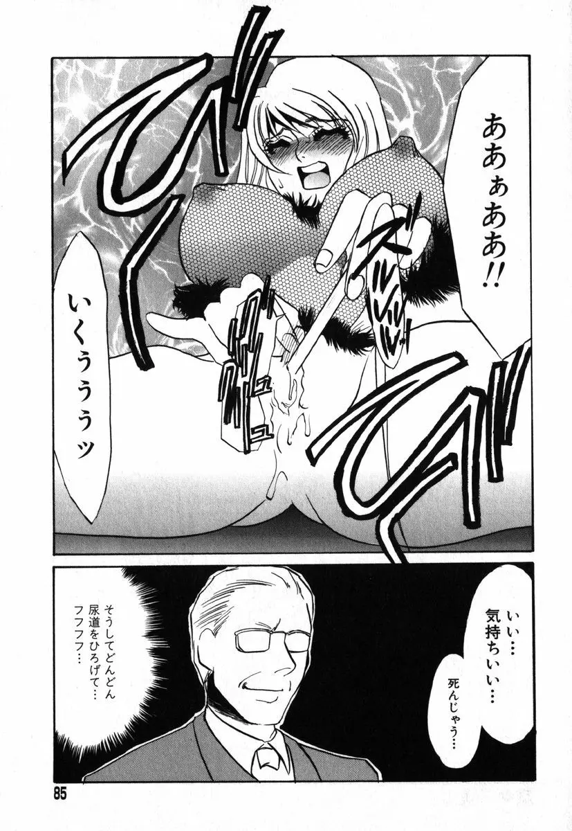 アイラデラックス Volume.18 Page.81