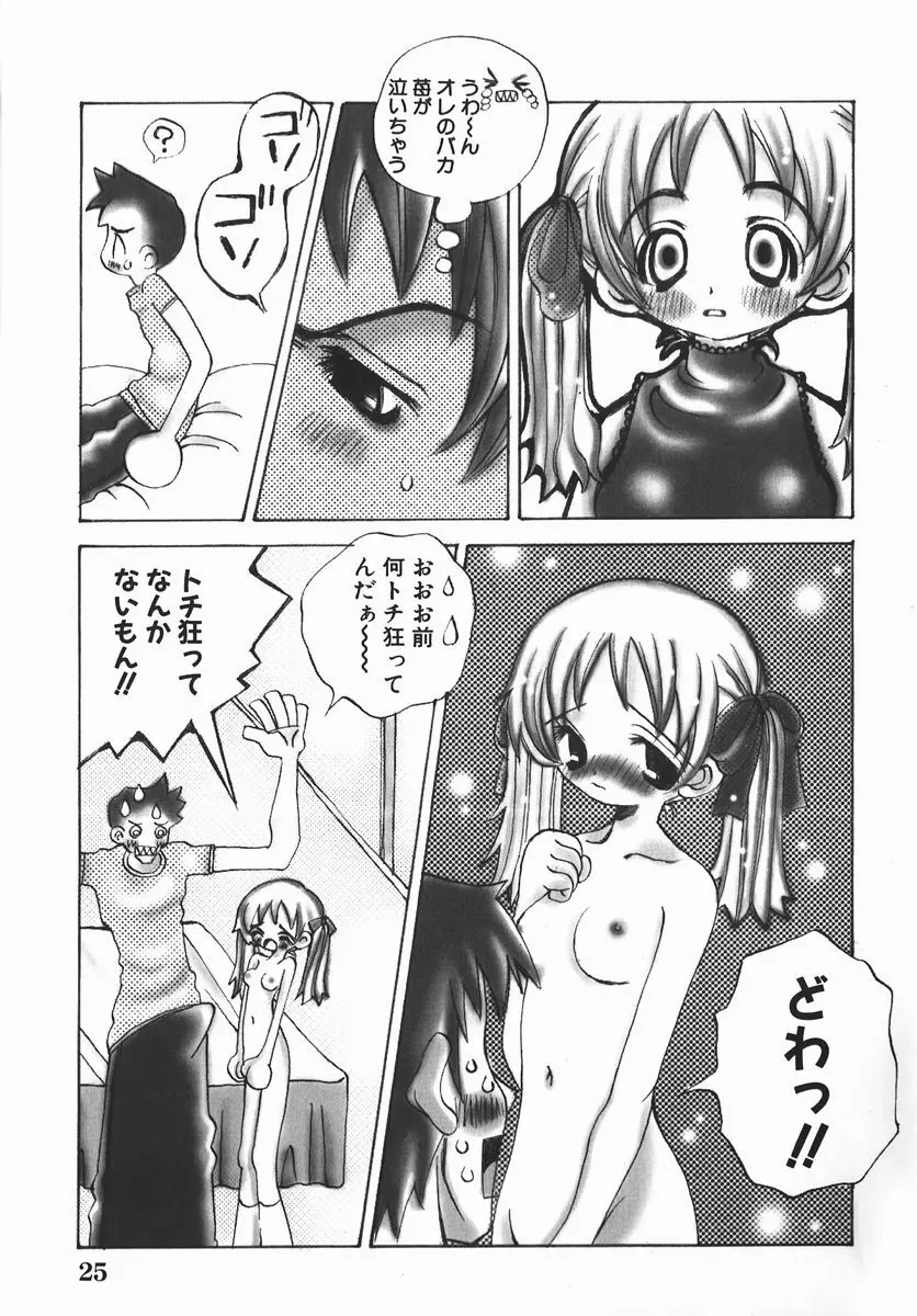 許してお兄さま Page.26