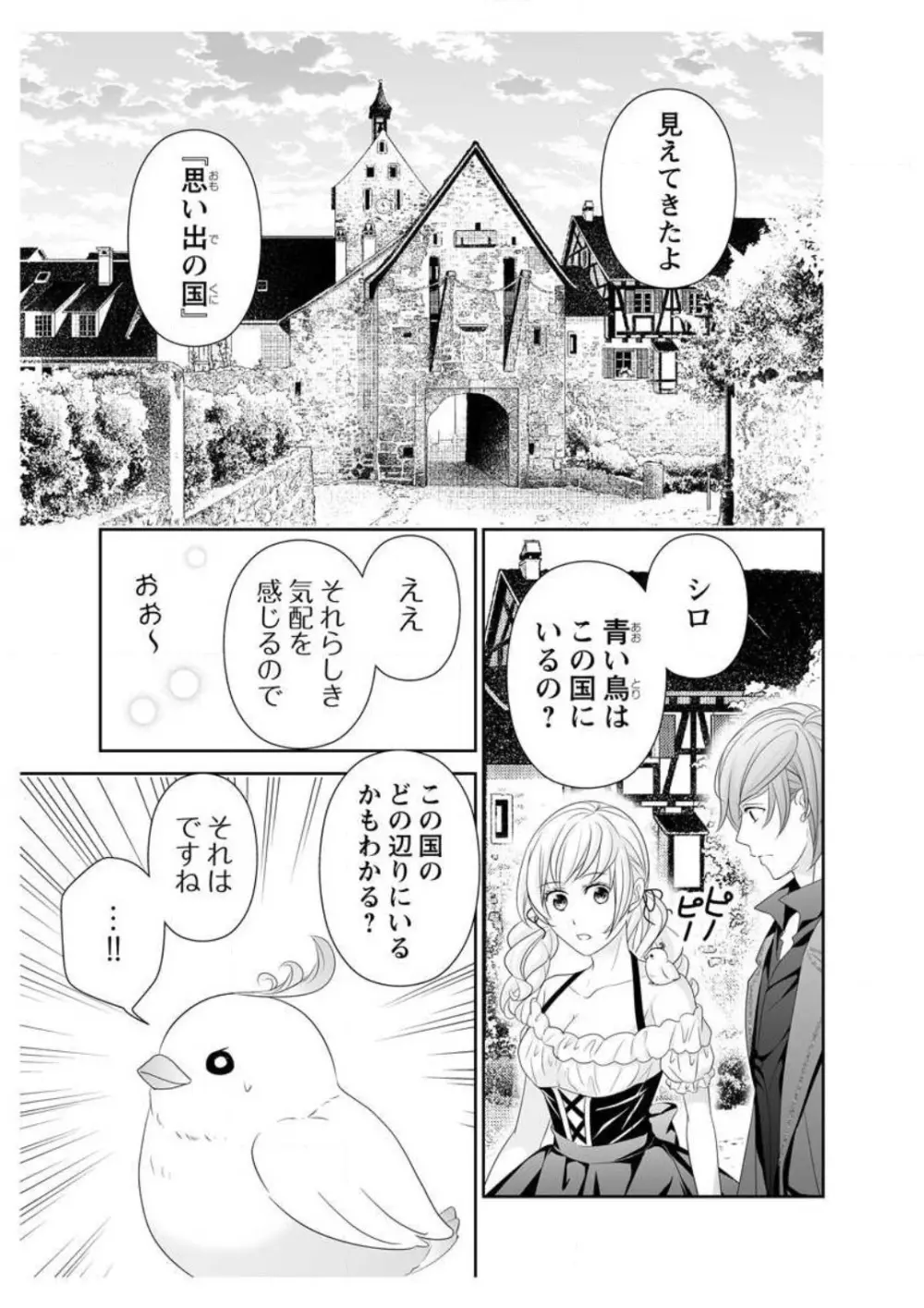 えろ◆めるへん 青い鳥 1-10 Page.53