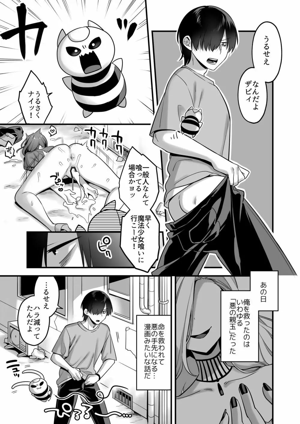 悪の手先になったので。～魔法少女を凌辱します～ Page.5