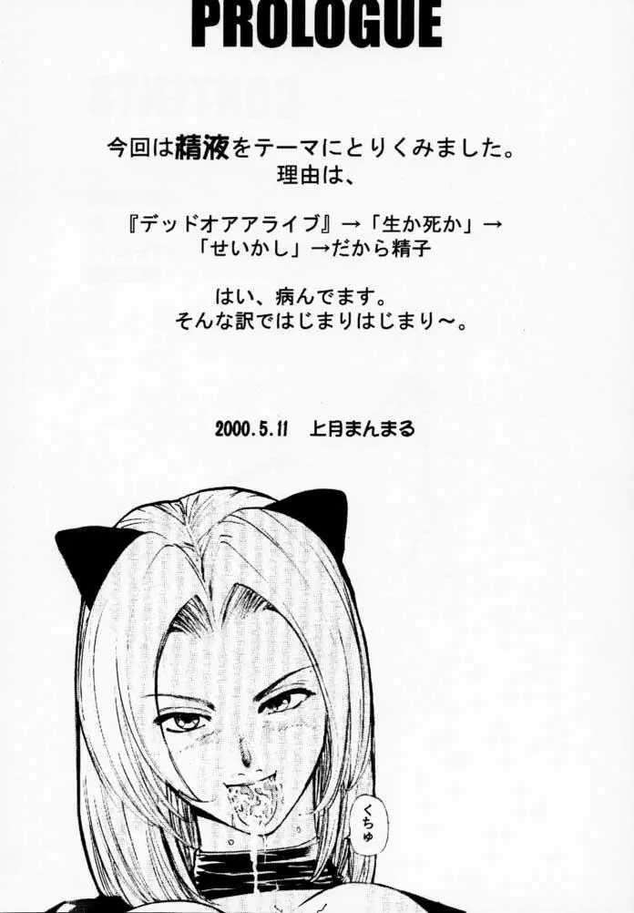 DOA2 shunka soushuuban tokoton rez Page.2