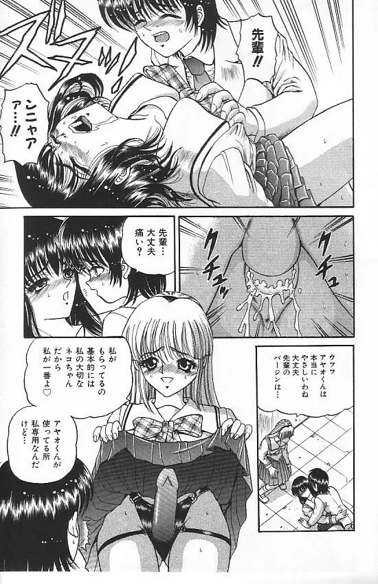 真夜中の太陽 Page.33