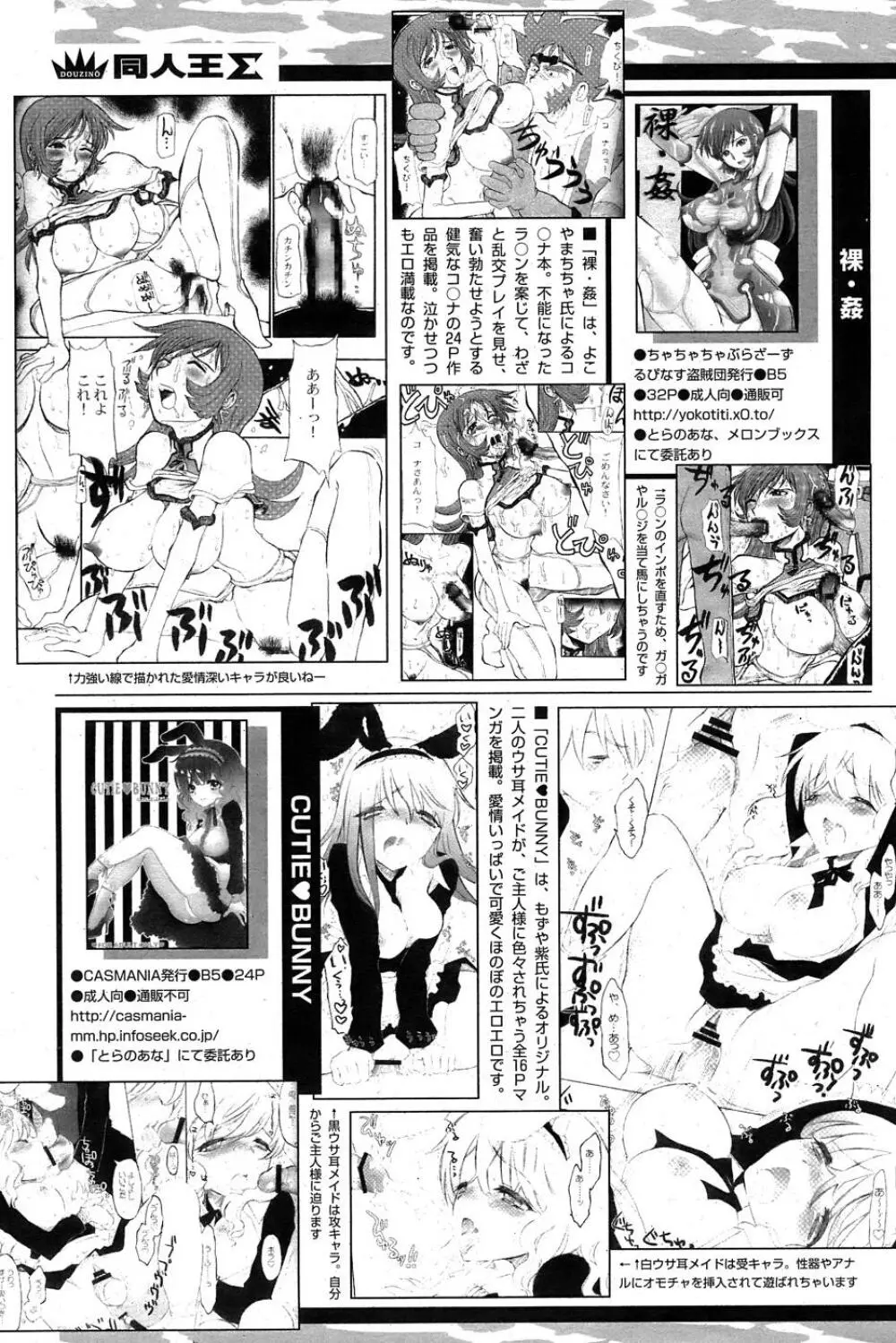 COMIC パピポ 2007年05月号 Page.243