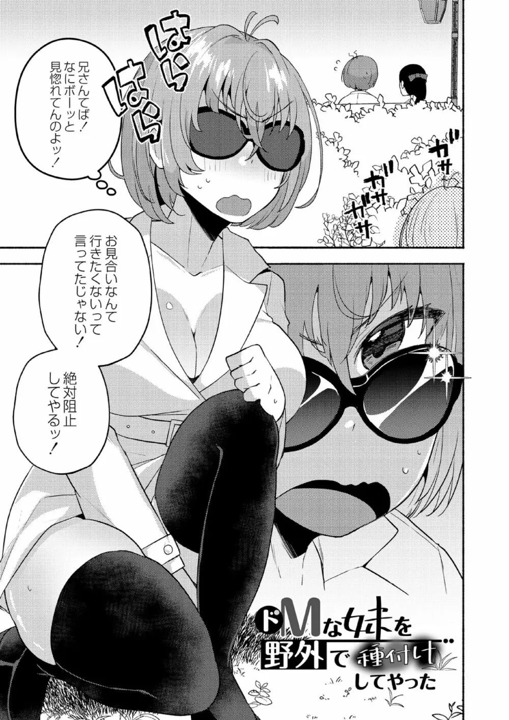 大丈夫。実妹の攻略本だよ。 Page.37