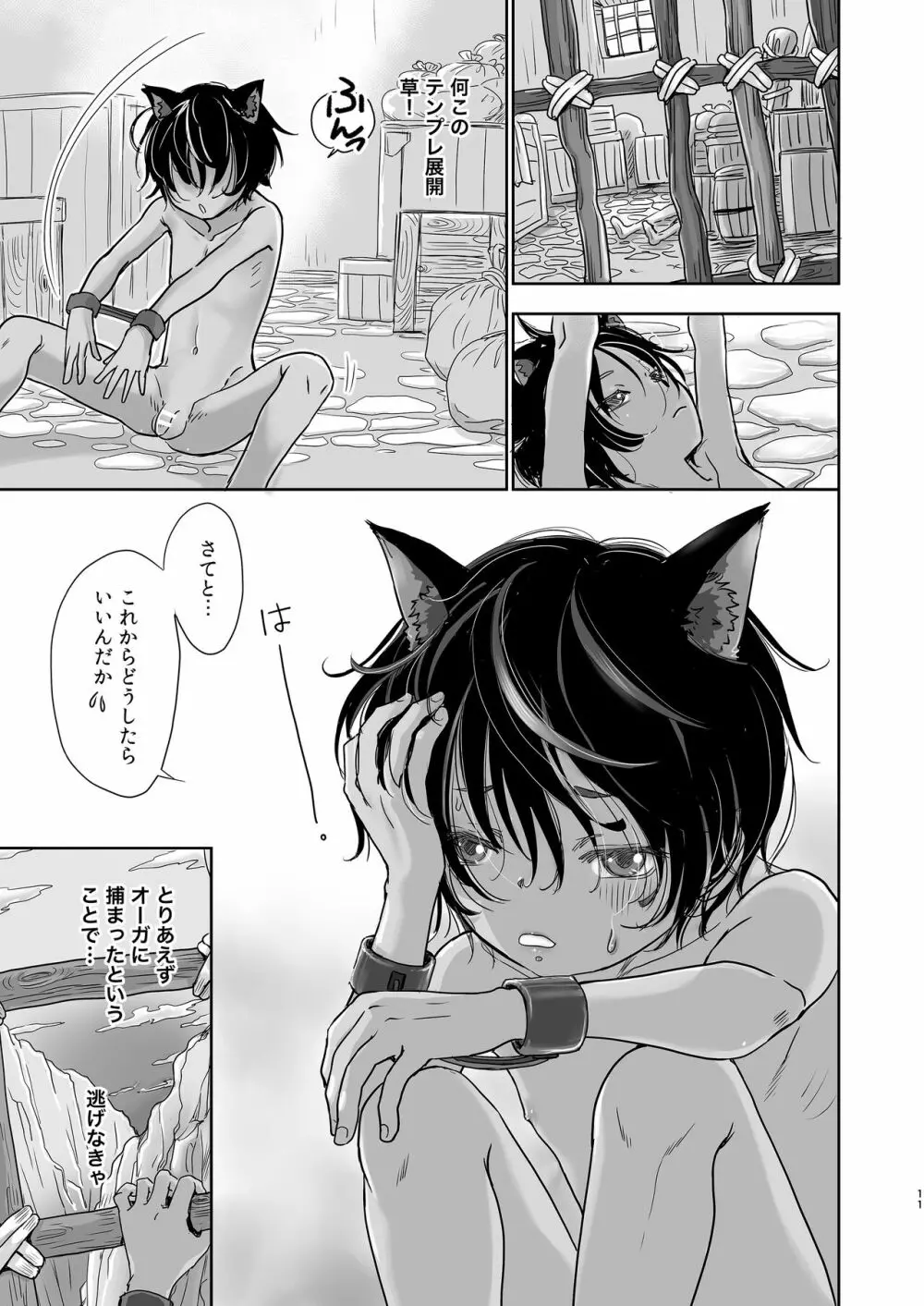 僕、異世界で猫耳性奴隷として隣の国まで旅をしてます。 Page.11